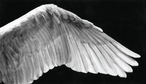 Robert Longo Work Heads to Auction