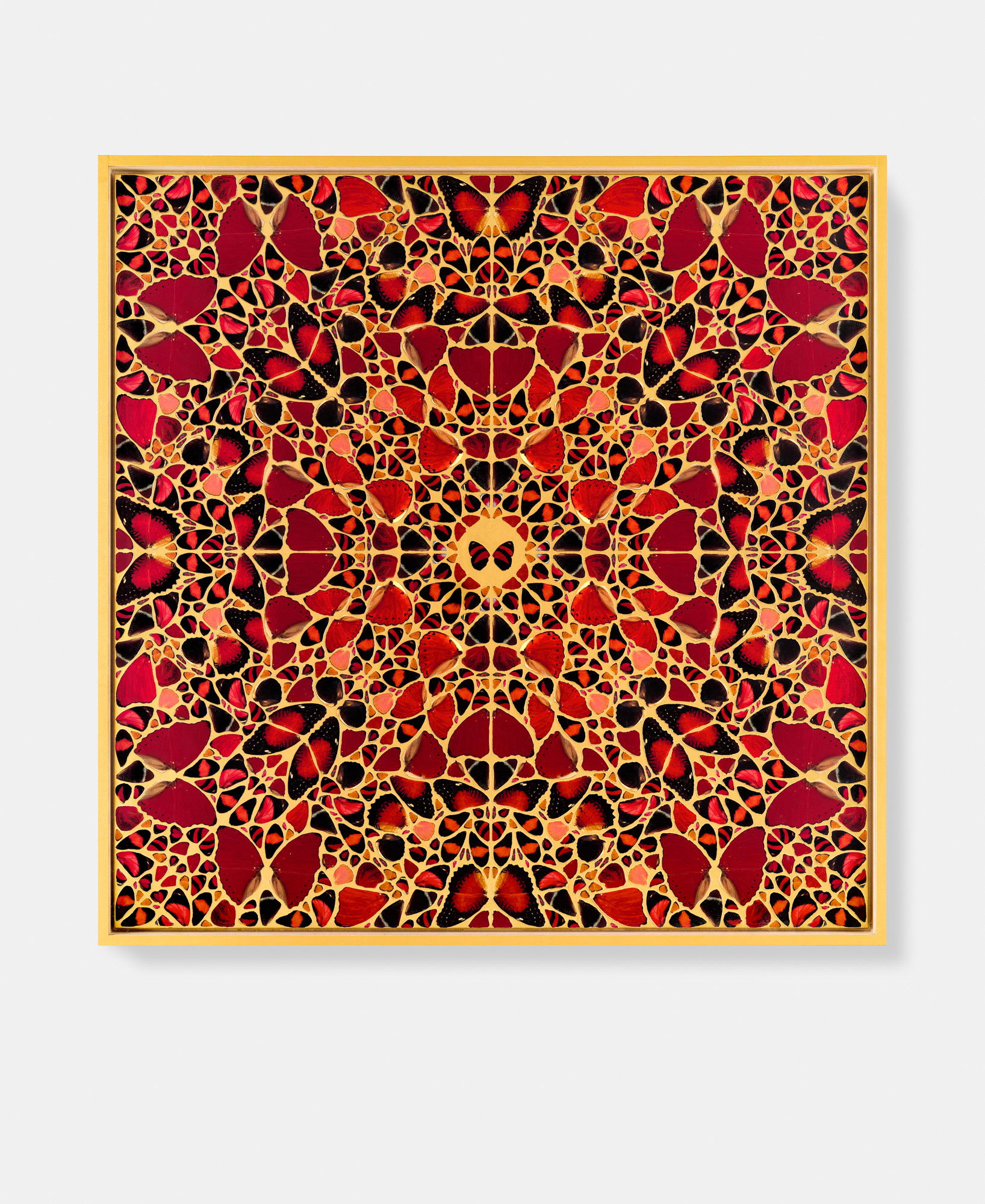 Maria Theresa / Josephine / Agrippina / Babusha / Pompeia Plotina 3