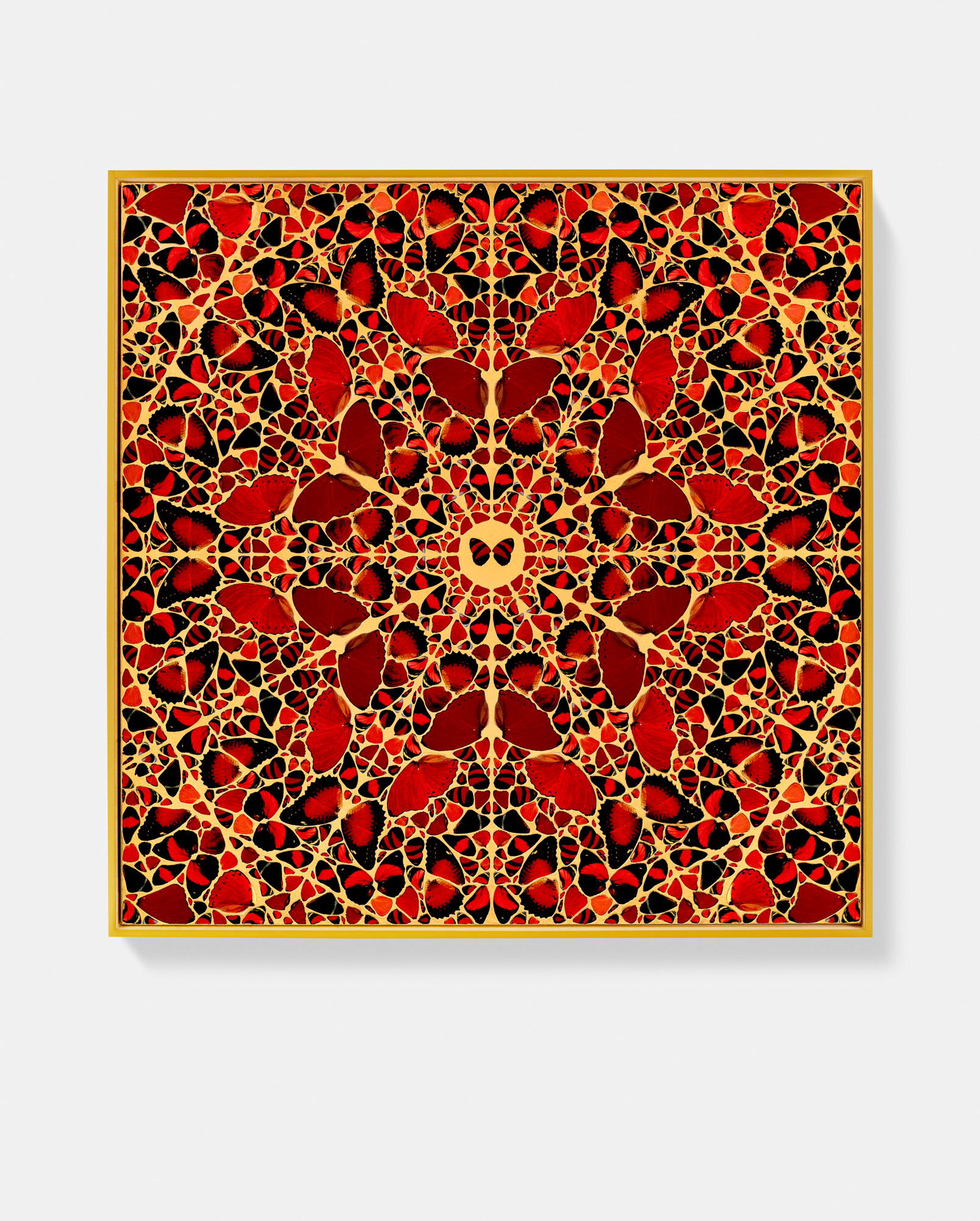 Marie-Louise 1 main image