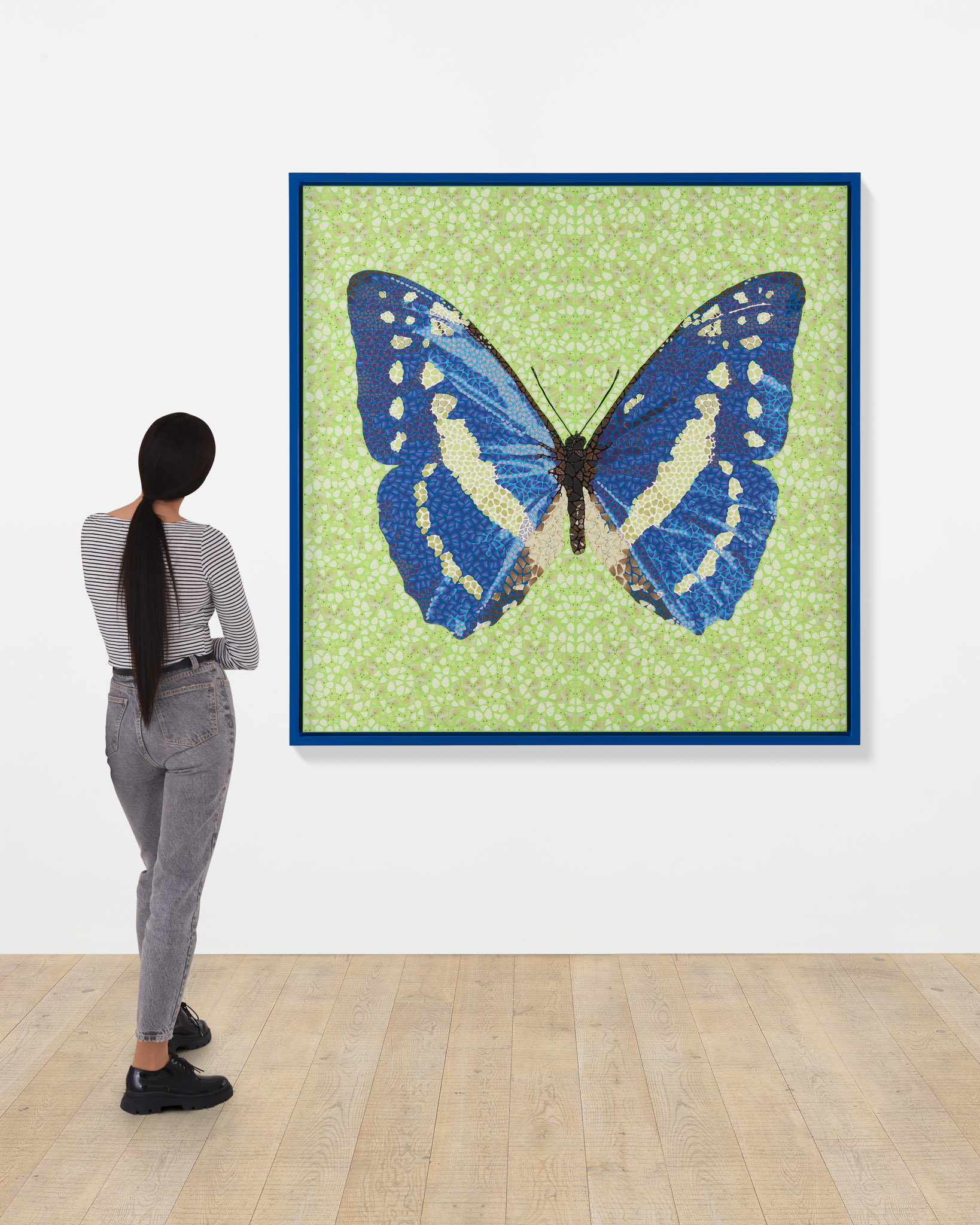 DP61. Morpho Cypris | HENI Primary