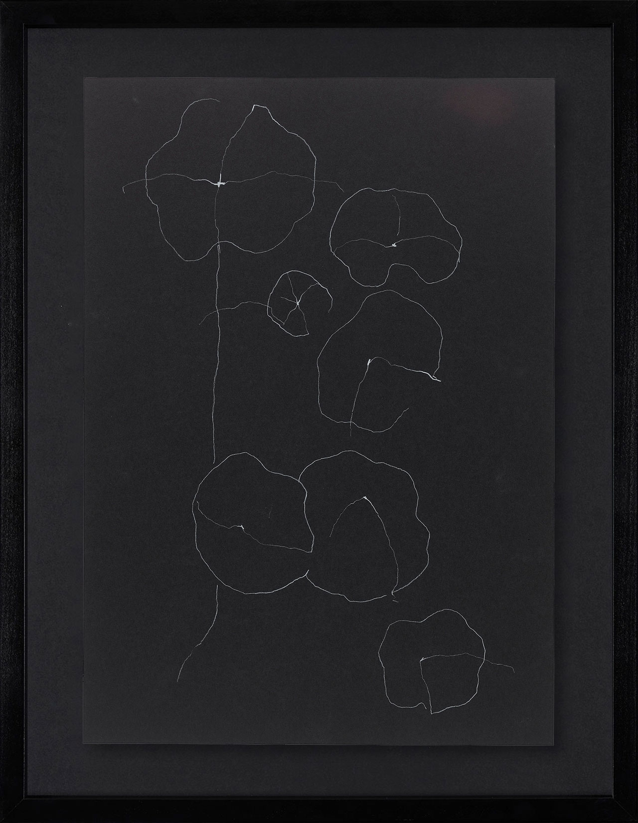 Peel Cottage Garden  1 main image