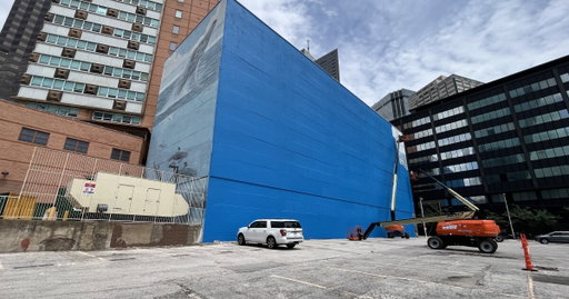 Artist suing FIFA over destruction of Dallas whale mural before World Cup