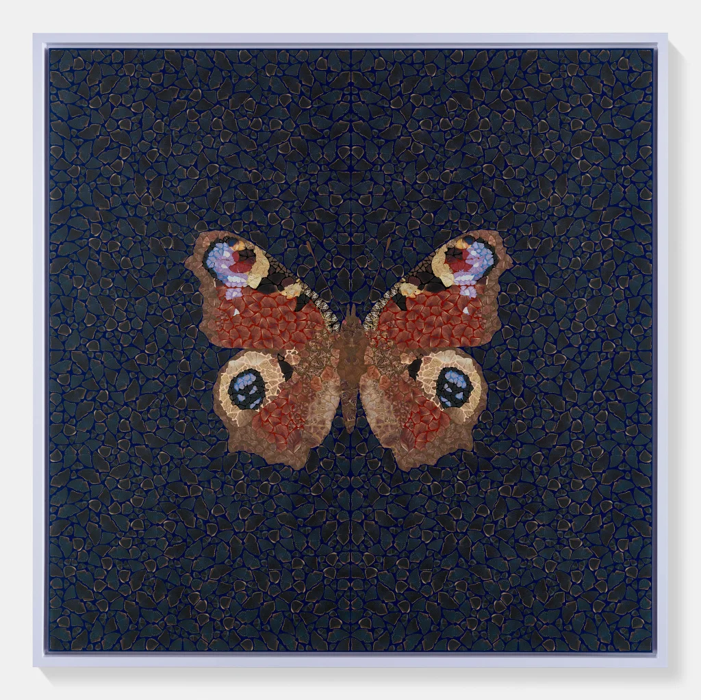 Inachis Io