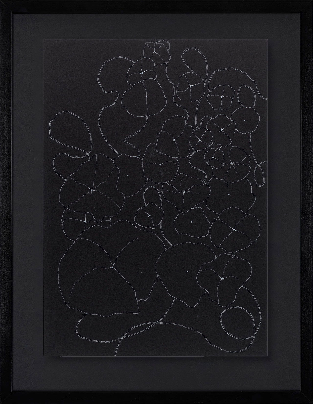 Peel Cottage Garden  1 main image