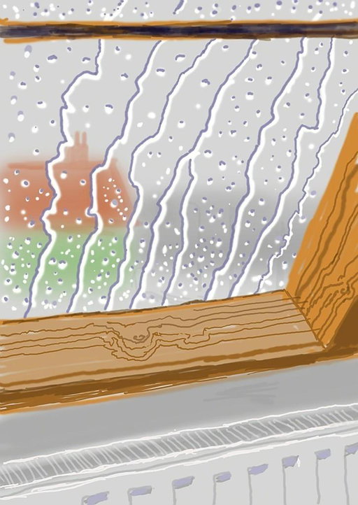 David Hockney Work Sells for 100% Above Estimate at Auction