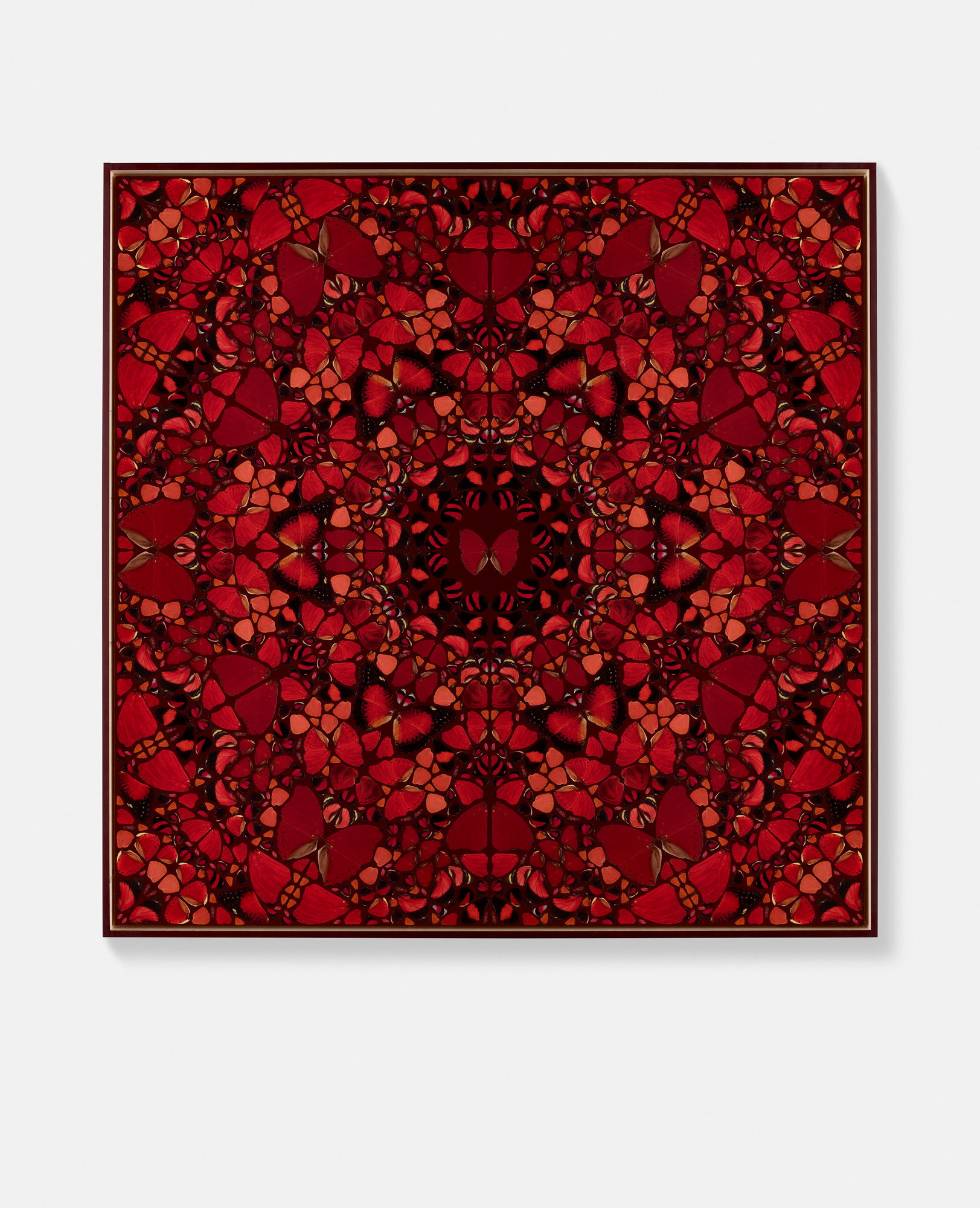 Koken / Eleanor / Livia / Ying / Mentewab 2