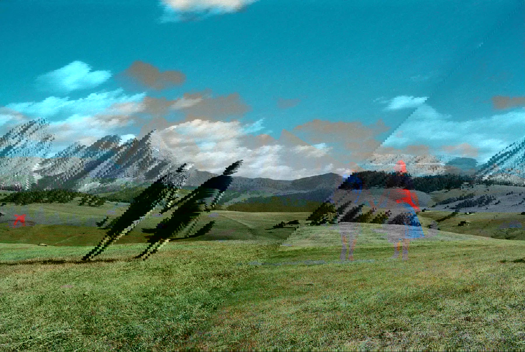 Claude Nori | HENI News Profile