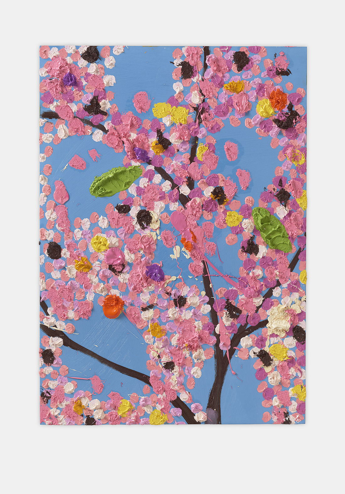 Oasis Blossom 1 main image