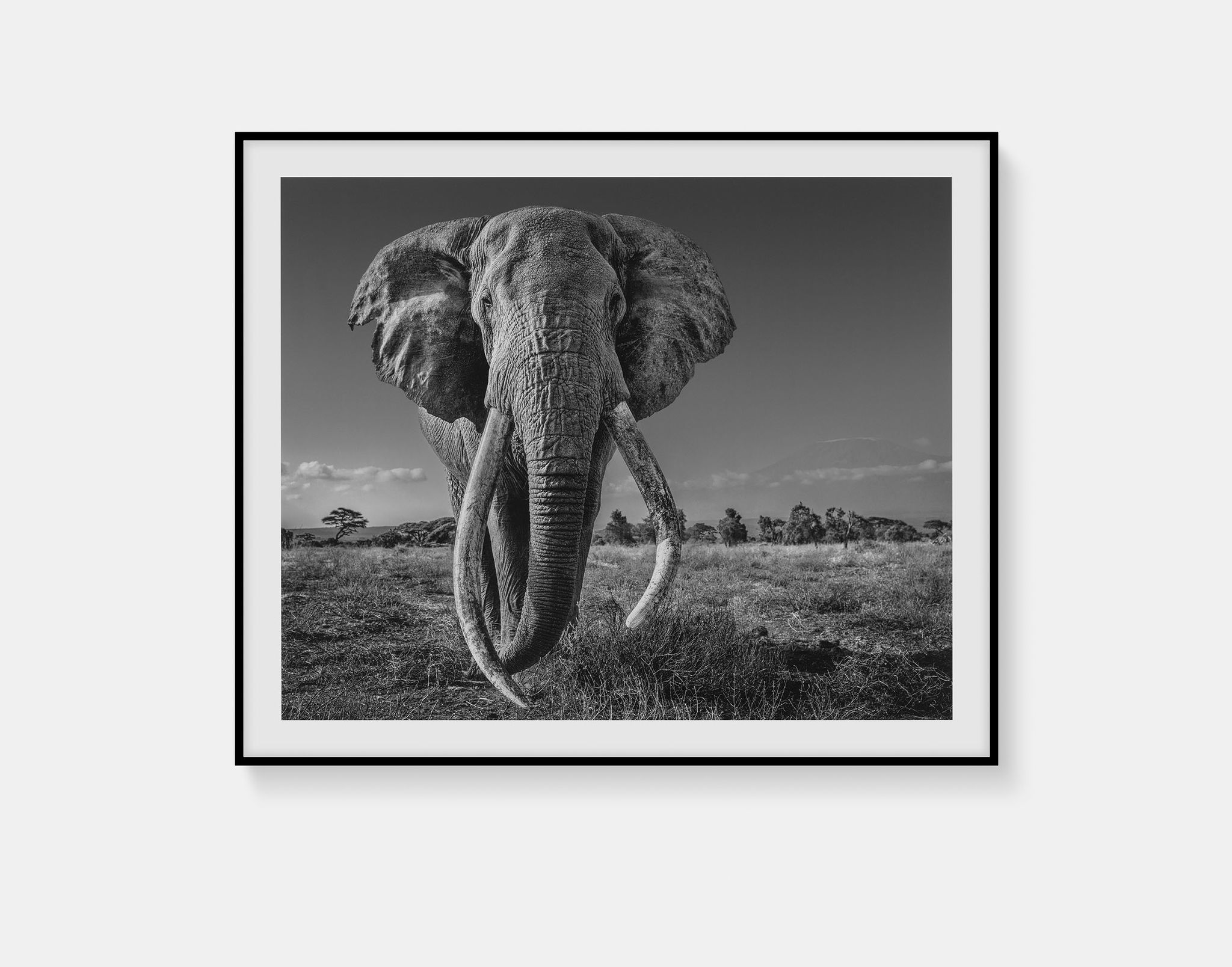 Craig image #1 main image