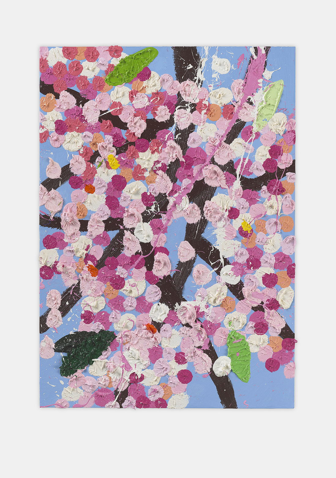 Commended Blossom 1 main image