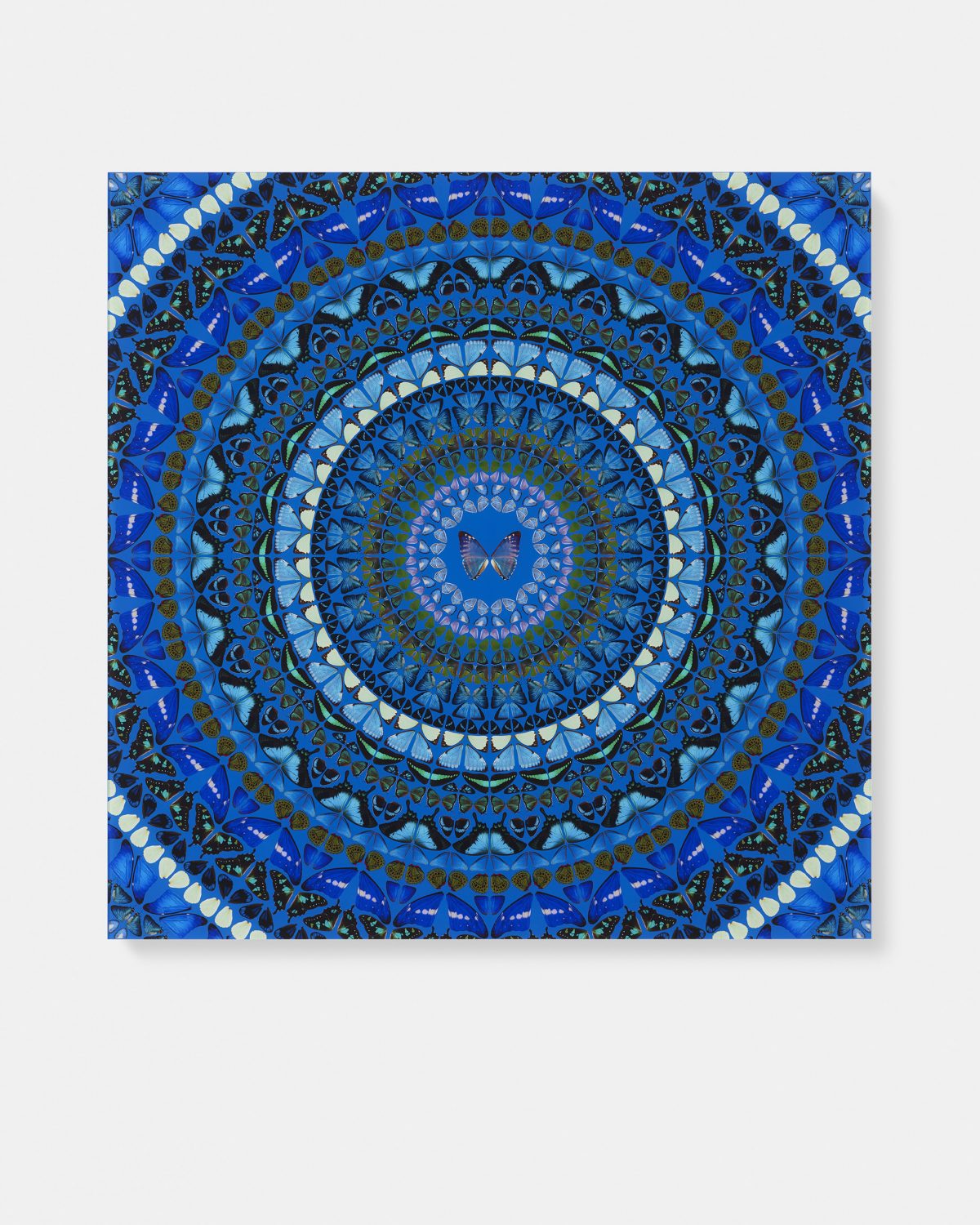 Water image #1 main image