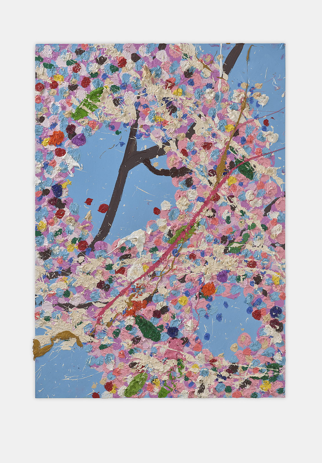 Delighted Blossom 1 main image