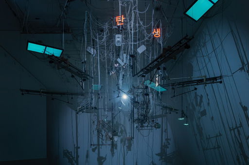 A Sprinkle of Trauma