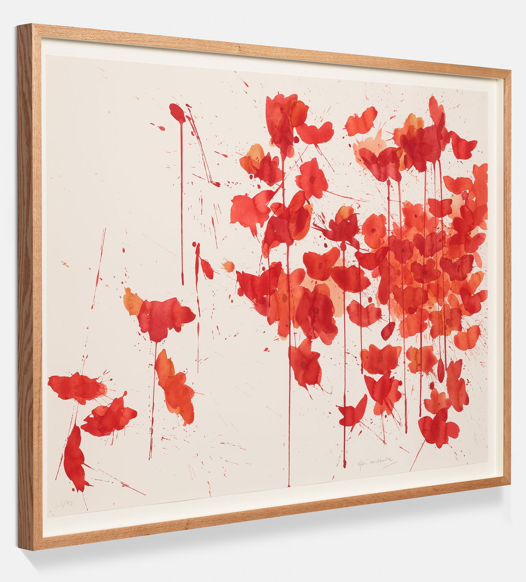 Vibrancy and Grace image #5