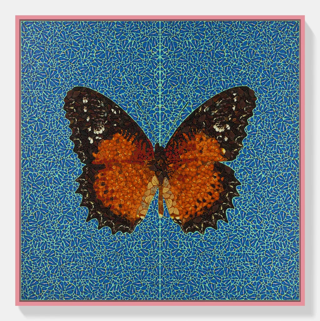 Cethosia B.