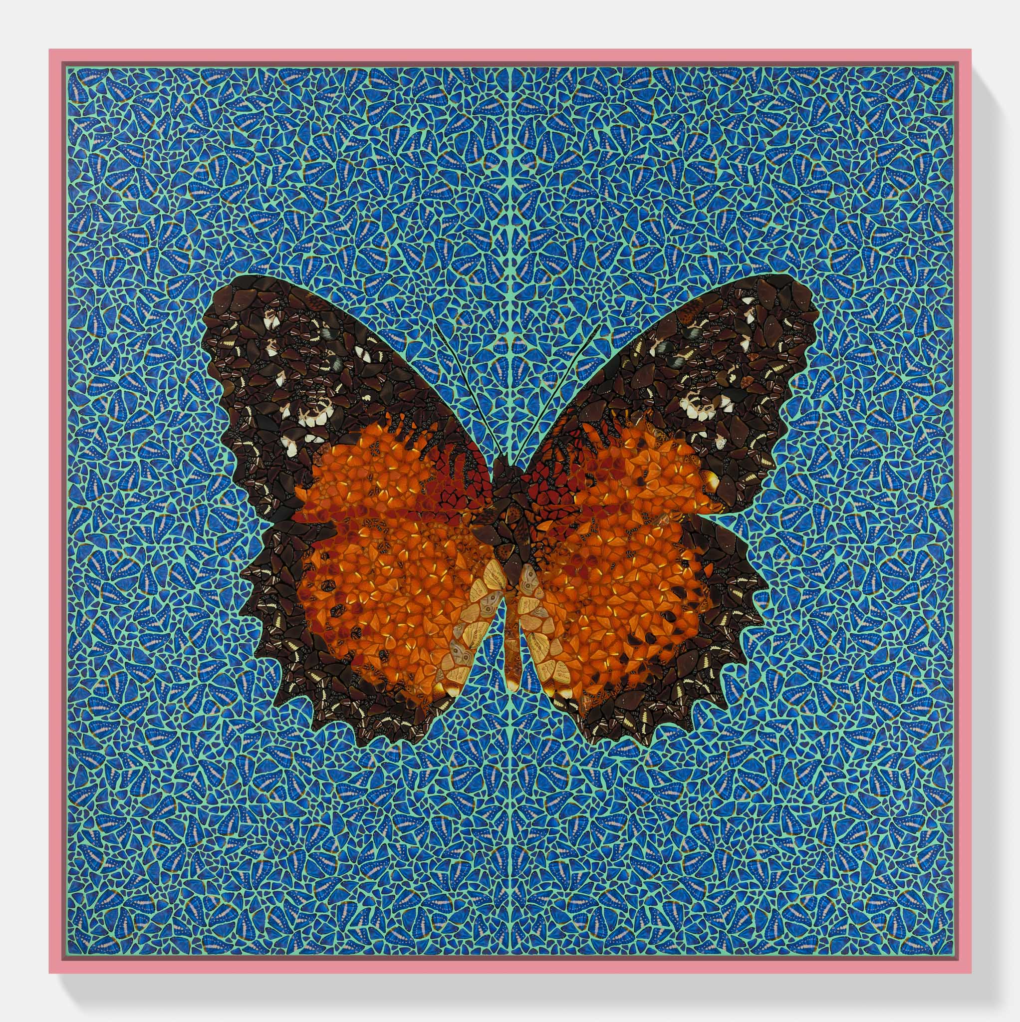 Cethosia B. 1 main image