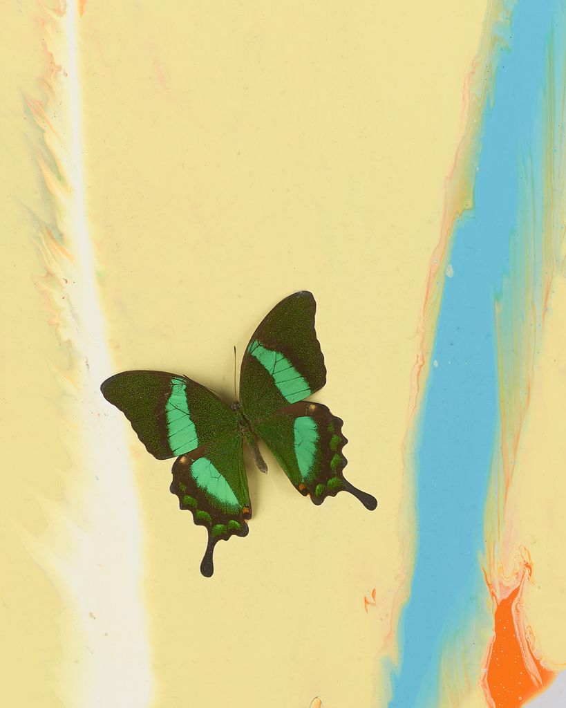 Beautiful Without Fear or Favour Painting (with Butterflies) 3