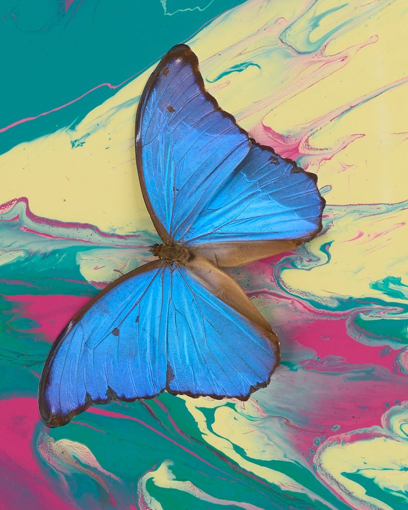 Beautiful Beyond Understanding Painting (with Butterflies) 3