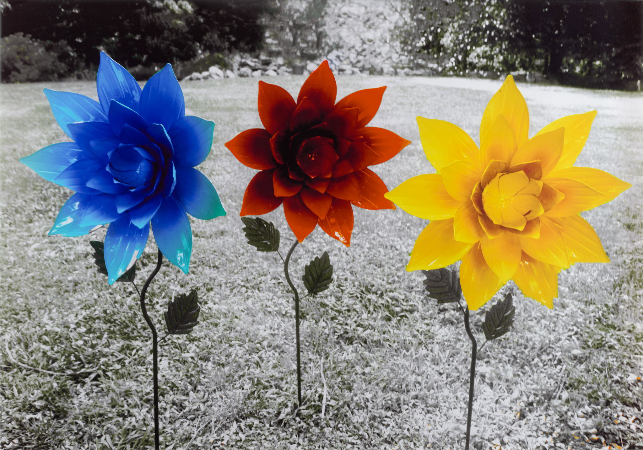 may flowers様 リクエスト 3点 まとめ商品 TTMD56. Three Flowers | HENI Primary