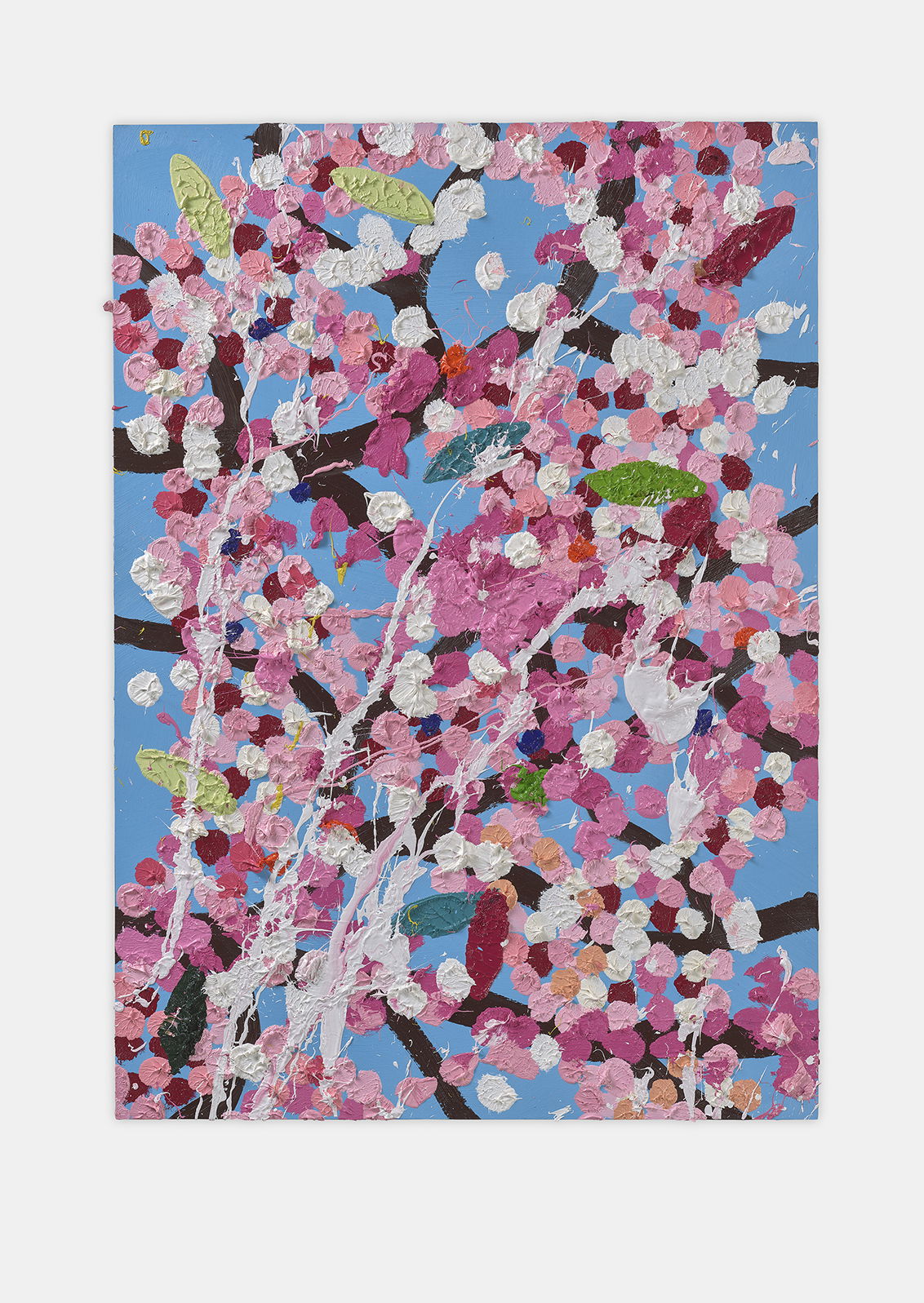 Vortex Blossom 1 main image