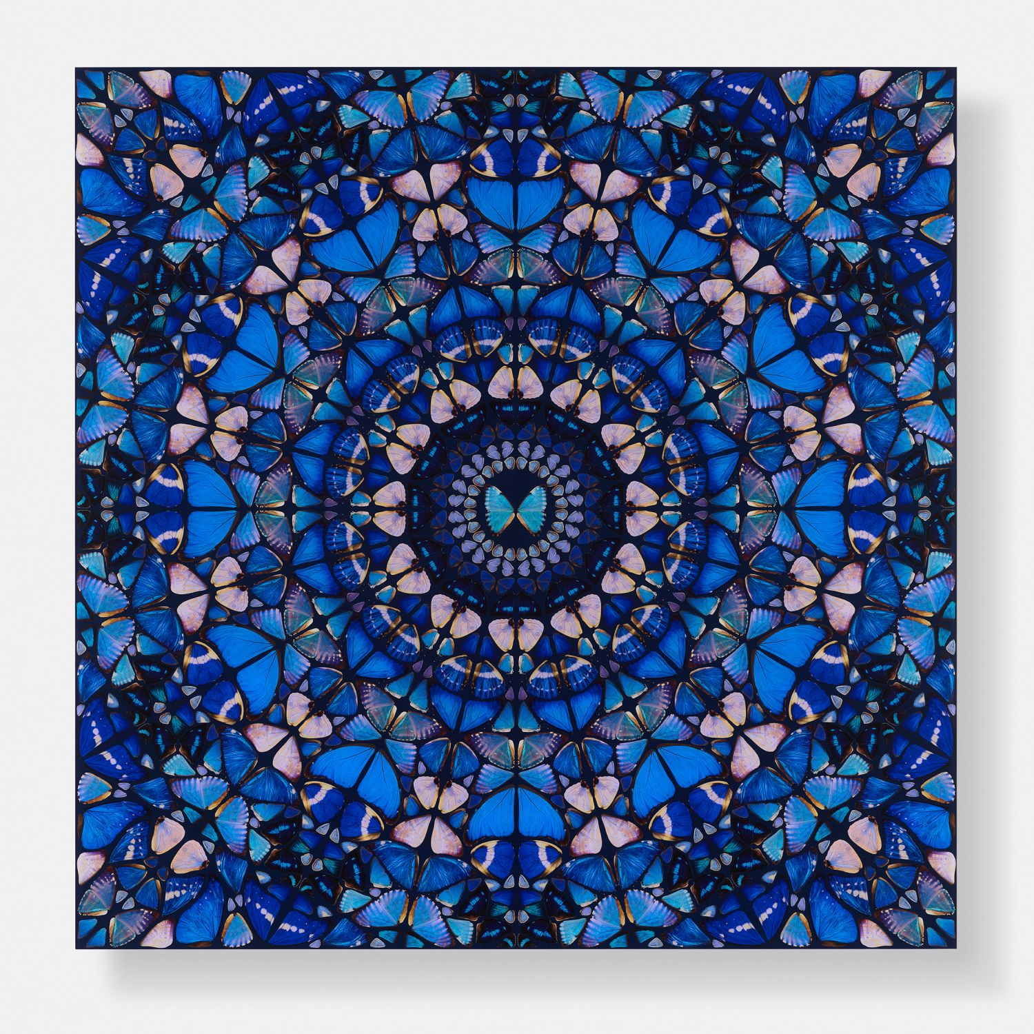 Truth image #1 main image