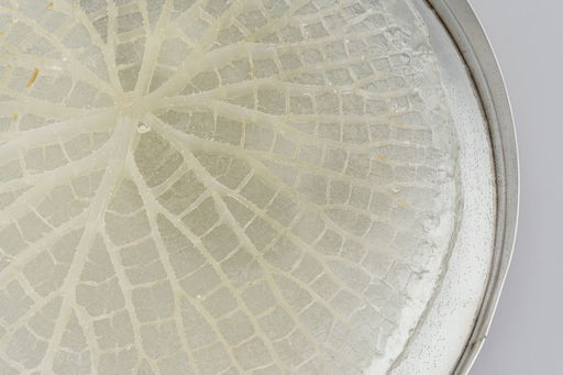 Leon Simonis at Galerie Stadt Sindelfingen