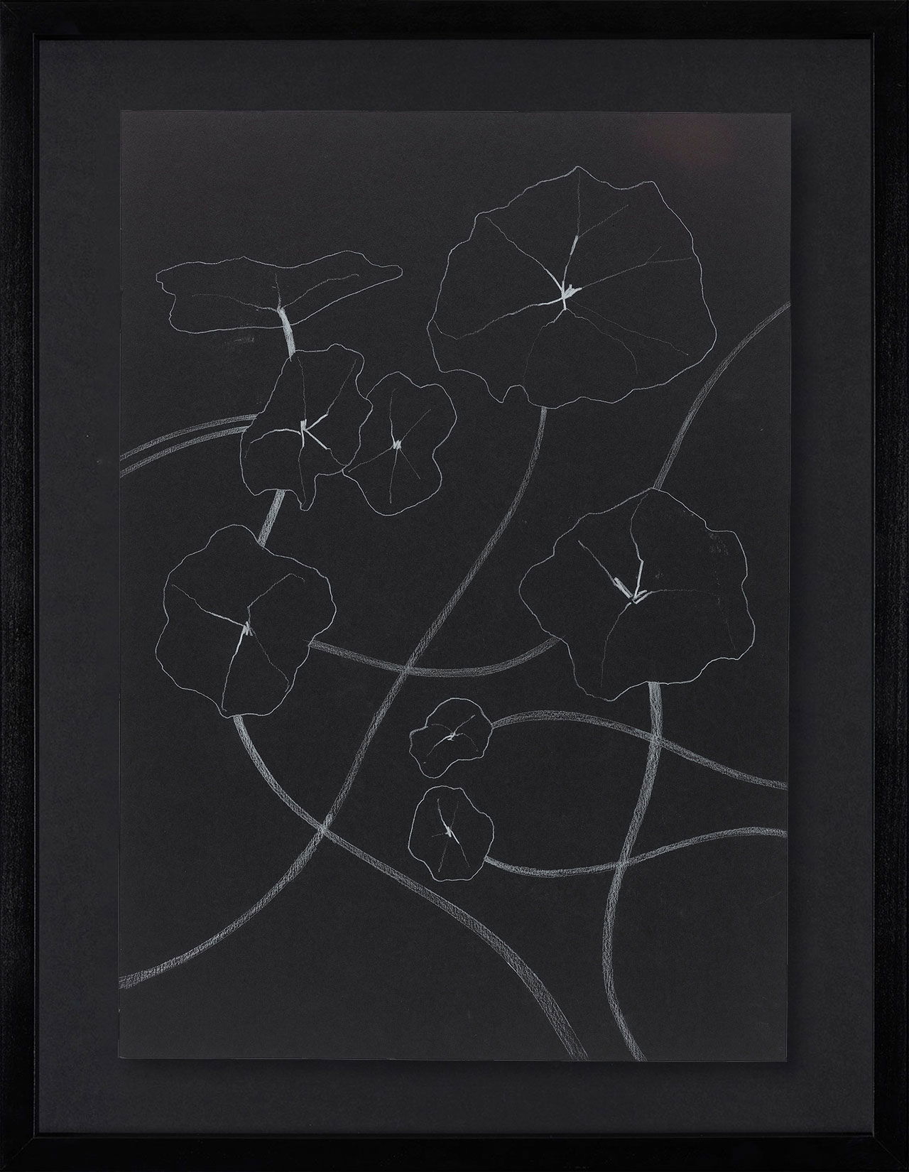 Peel Cottage Garden  1 main image