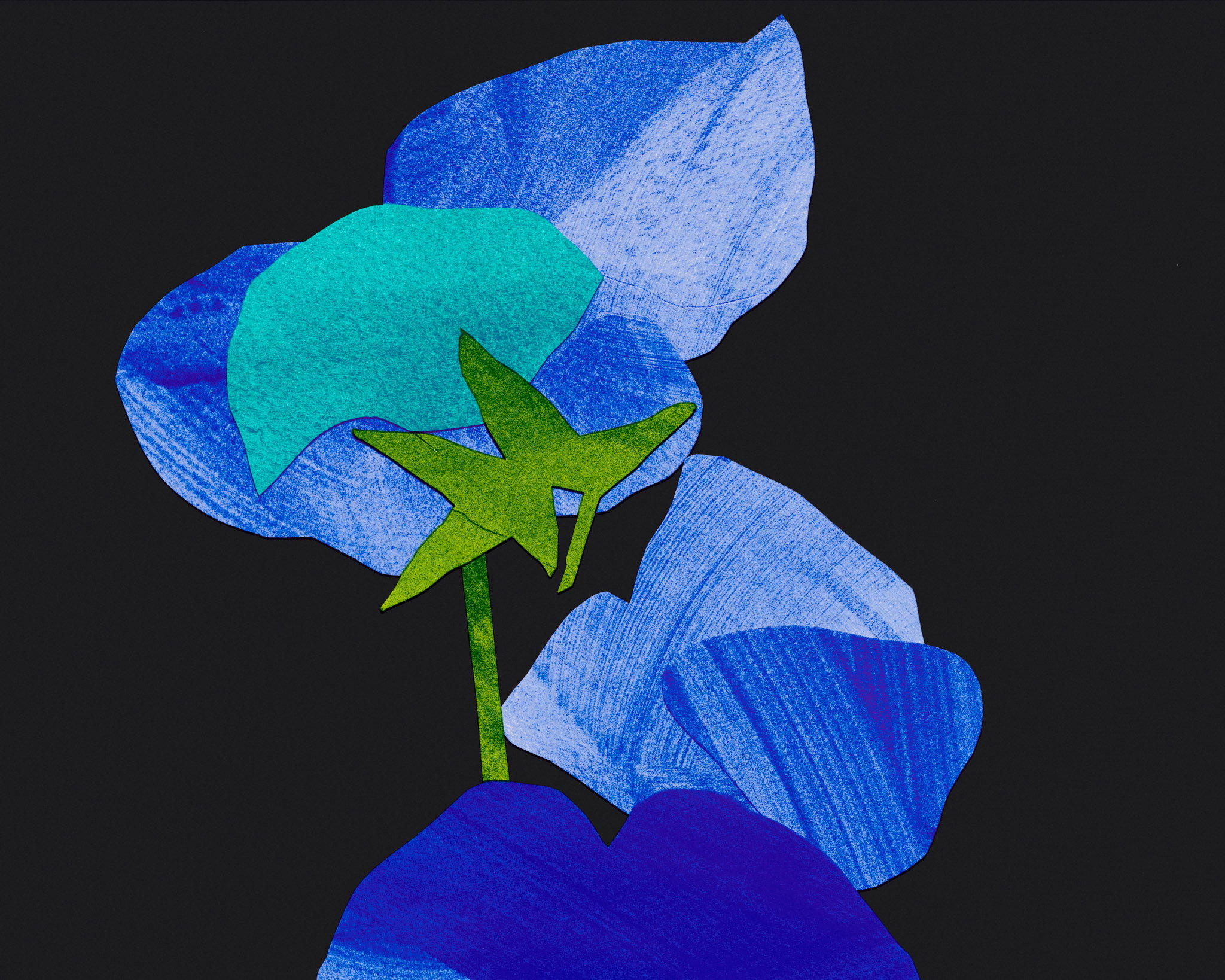 Communion in Cobalt image #3