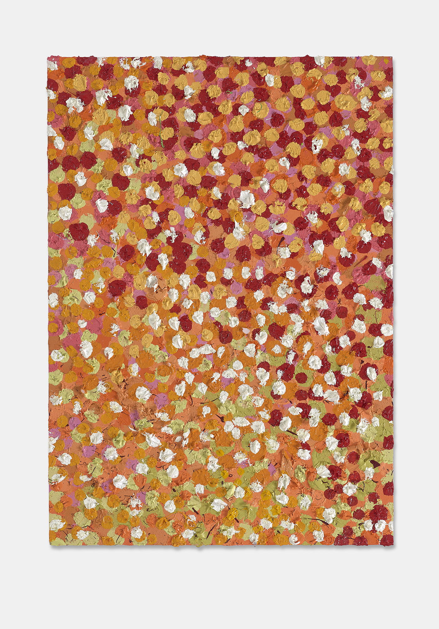 Hopeful Veil  1 main image