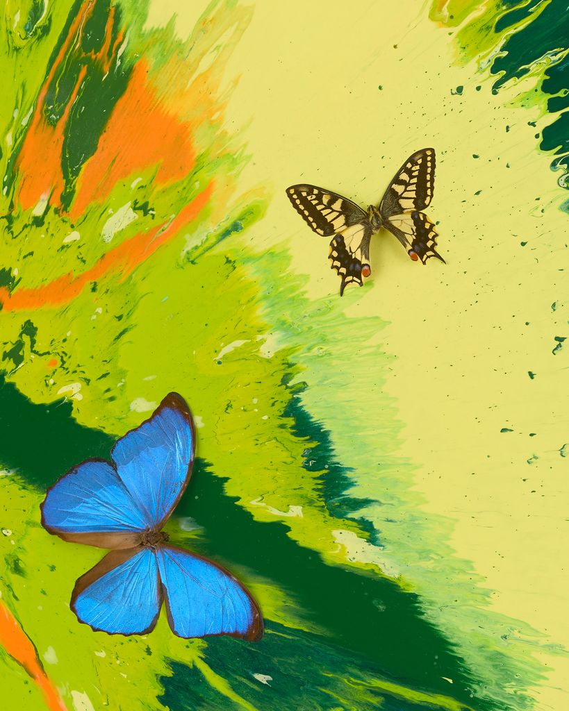 Beautiful Welcome to the Jungle, We are Really Happy You're Here Painting (with Butterflies) 3