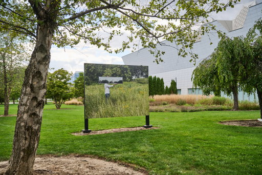 What to See at the Toronto Biennial of Art