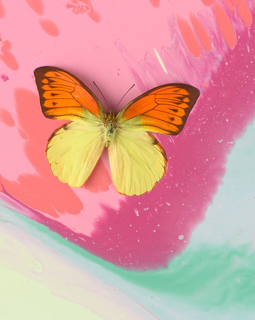 Beautiful Mother May Care, the Light of Your True Self Will Always Shine Through, Five Past Ten Painting (with Butterflies) 3