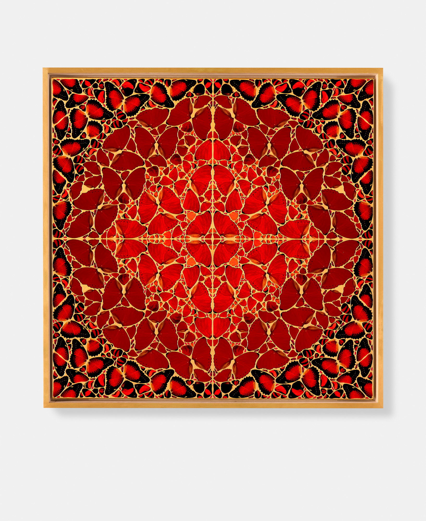 Gisela / Sugabala / Meishō / Zenobia / Danashri 5