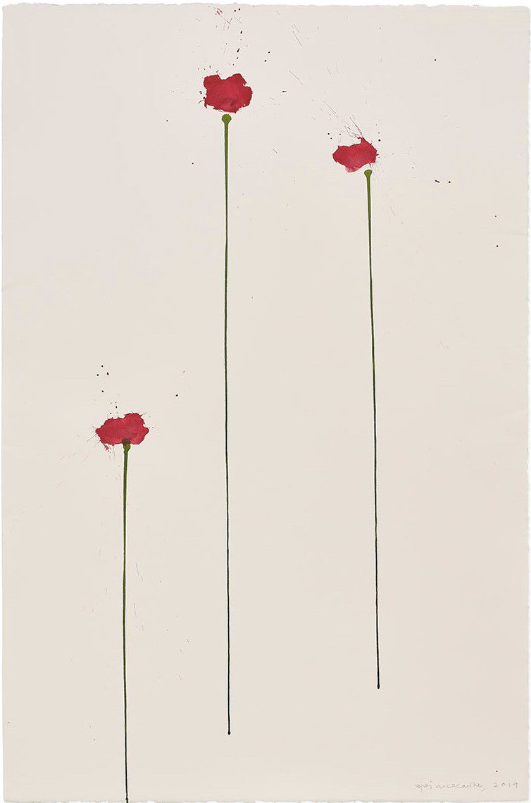 Vesper 260 1 main image