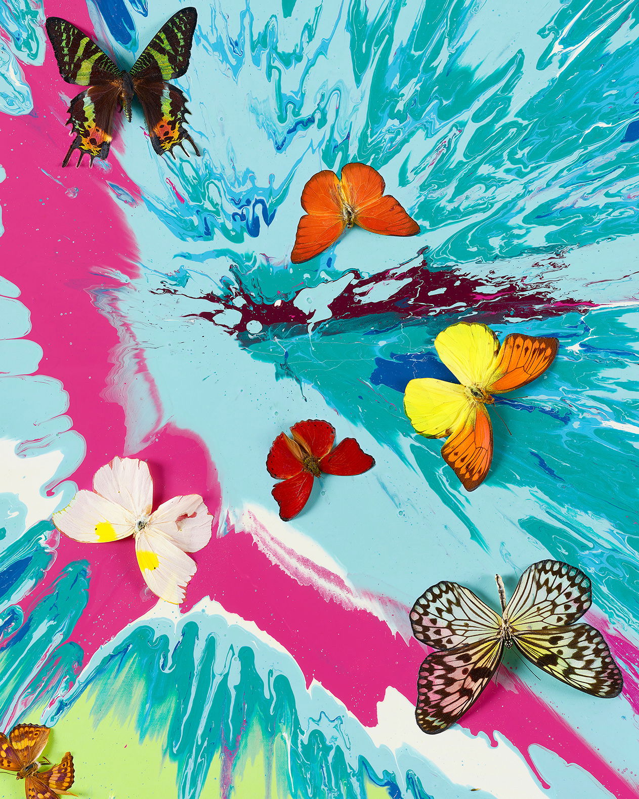 Gentle Zephyr image #3