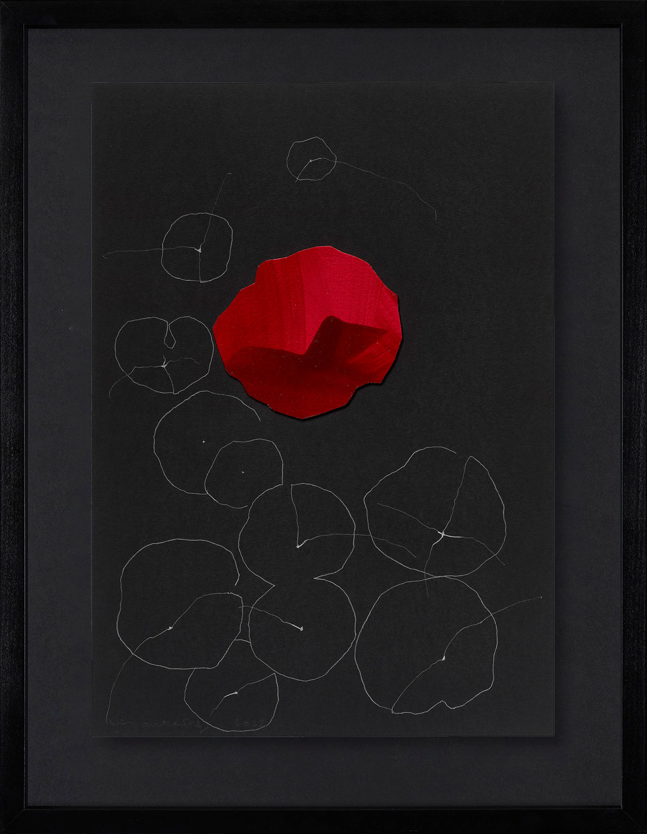 Peel Cottage Garden  1 main image