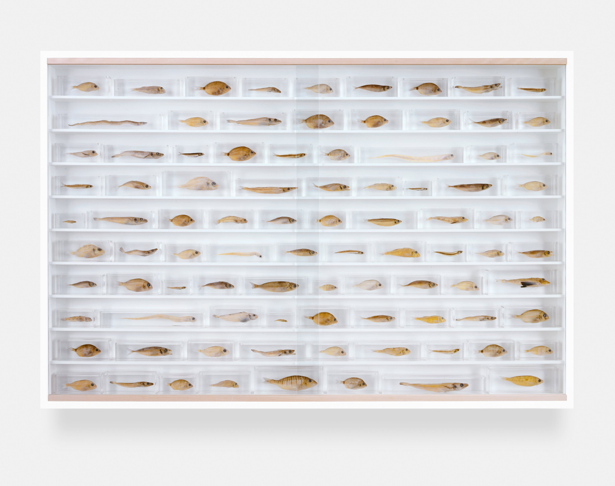 Without You 1 main image