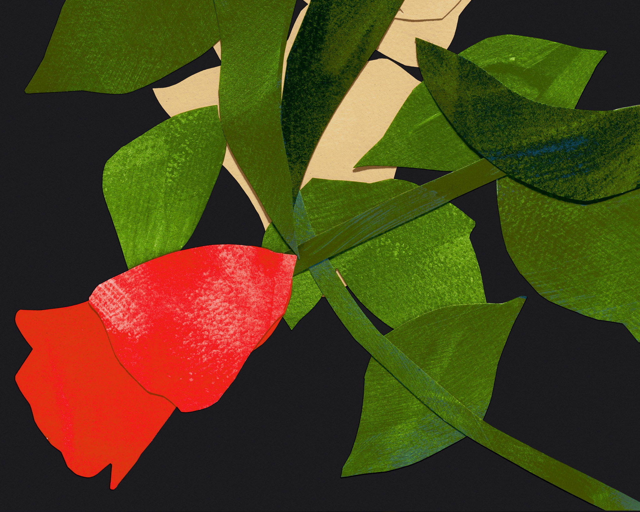 Bloom at the Edge of Midnight image #3