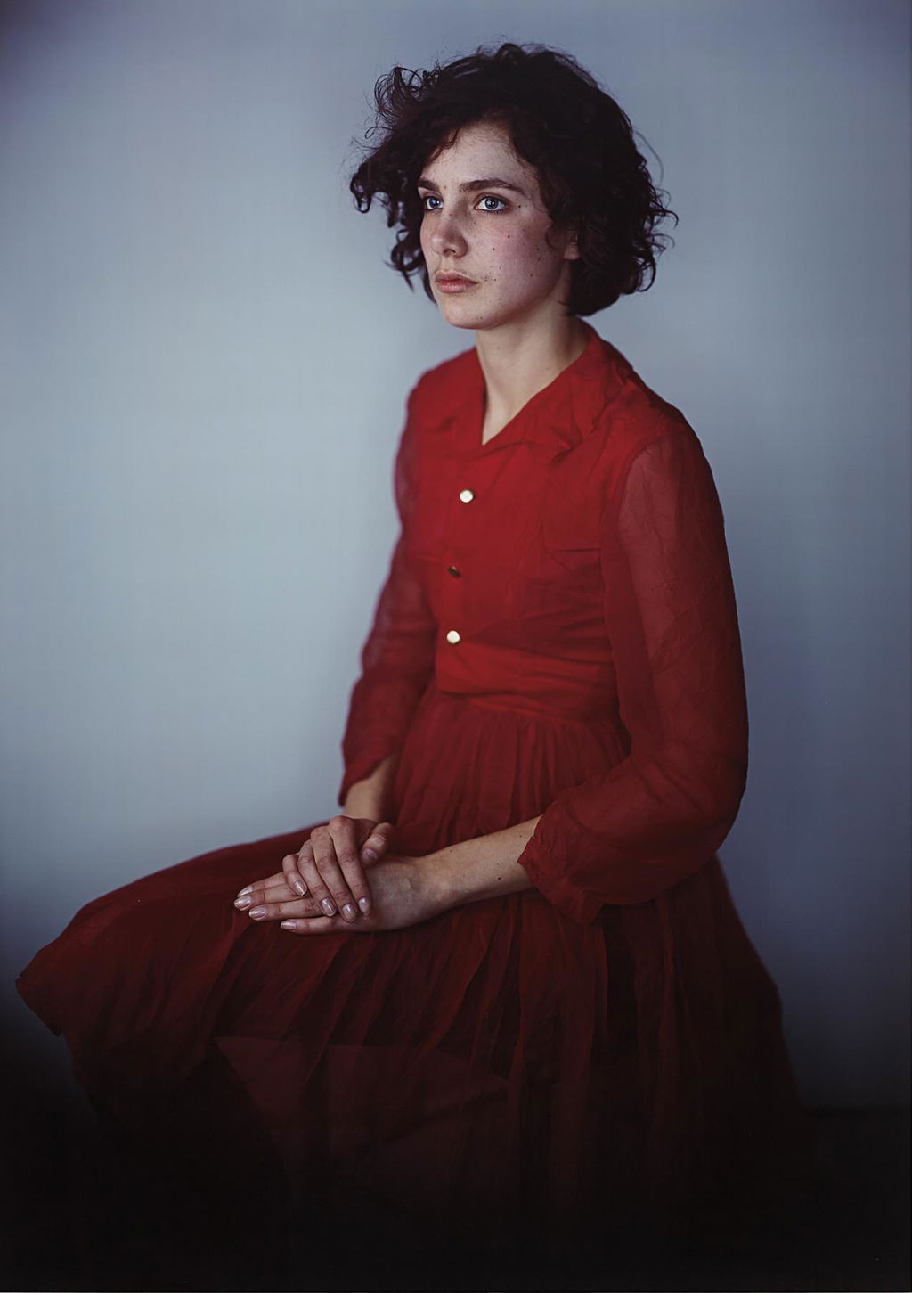 Agnes In Red Dress (2008). Sold for $60,000 in 2014. Image courtesy of Phillips