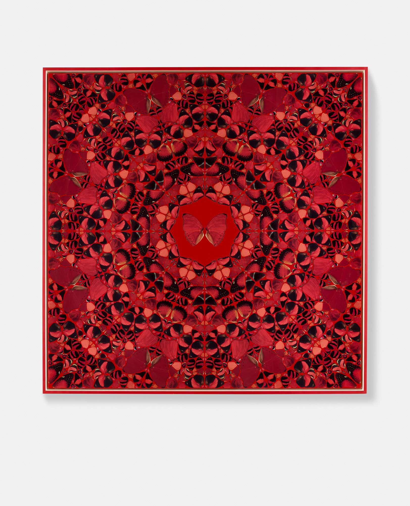 Anula of Anuradhapura 1 main image