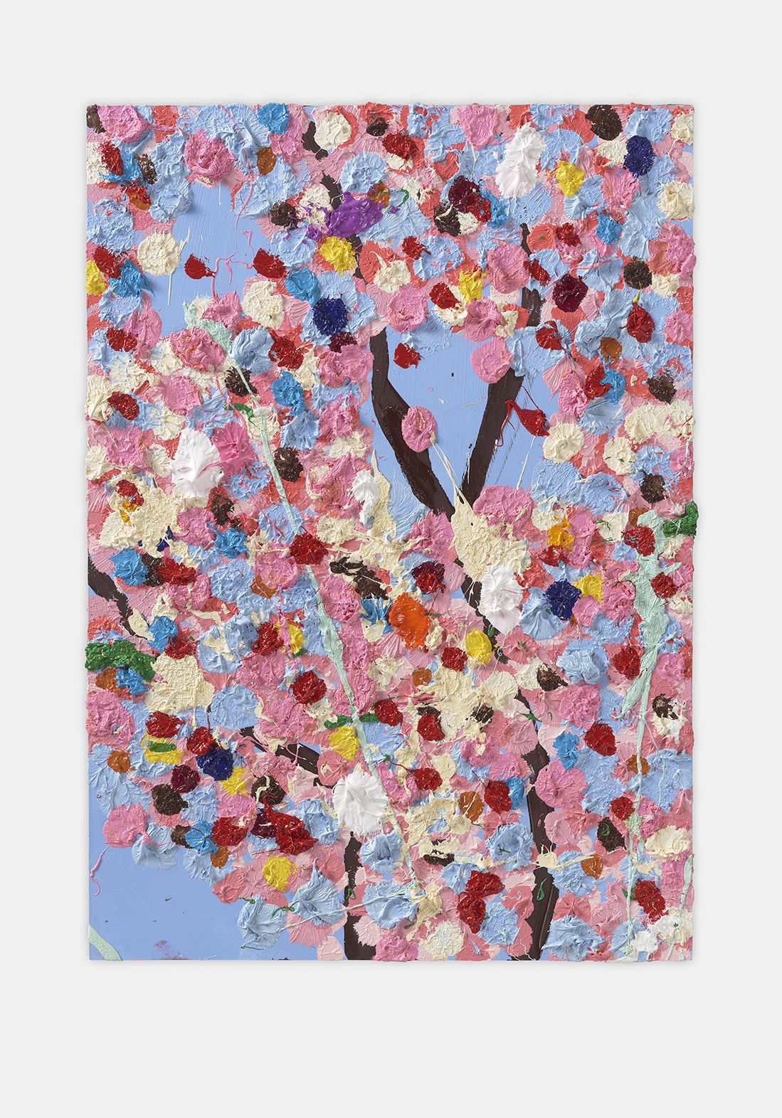 Primavera Blossom 1 main image