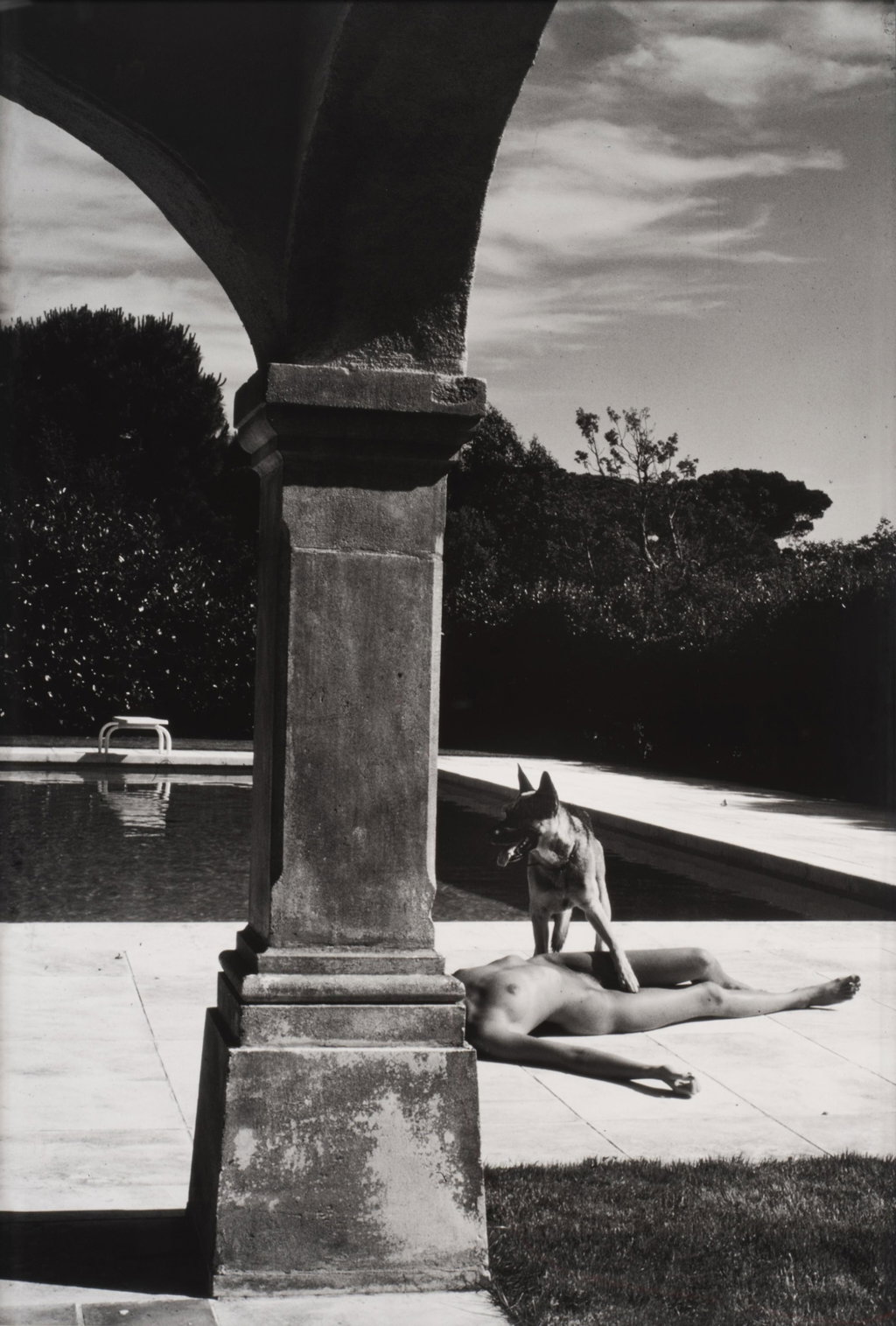 Nude and Police Dog, St Tropez by Helmut Newton sold for $89,600. Image courtesy of Sotheby's