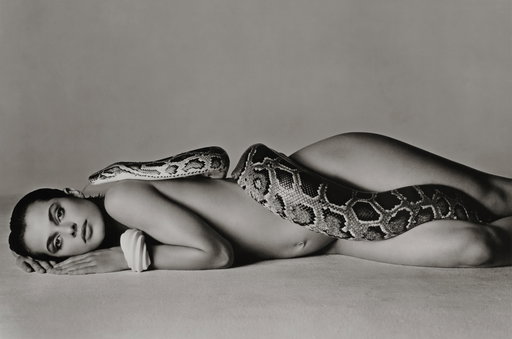 Richard Avedon Work Heads to Auction