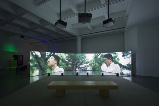 “The Great Camouflage” at Rockbund Art Museum, Shanghai — Mousse Magazine and Publishing