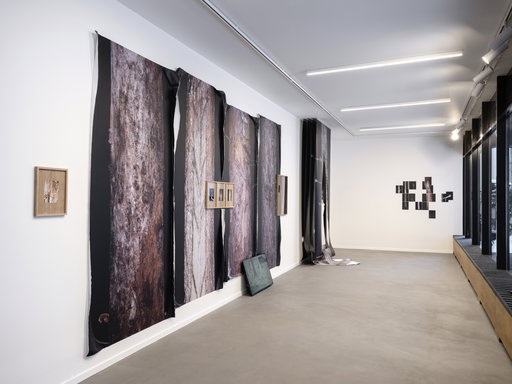 Photo Reportage from the Exhibition ‘Forest Evenings’ by Photographer Iveta Gabaliņa at ISSP Gallery in Riga