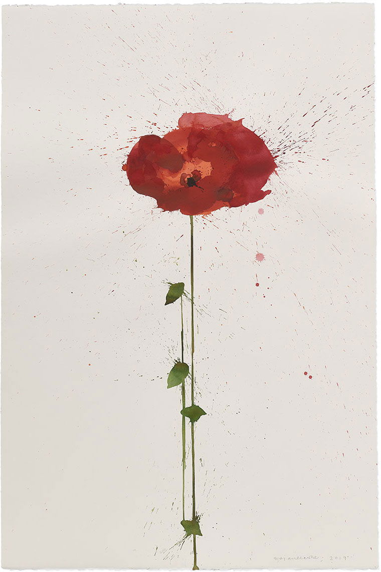 Vesper 338 1 main image