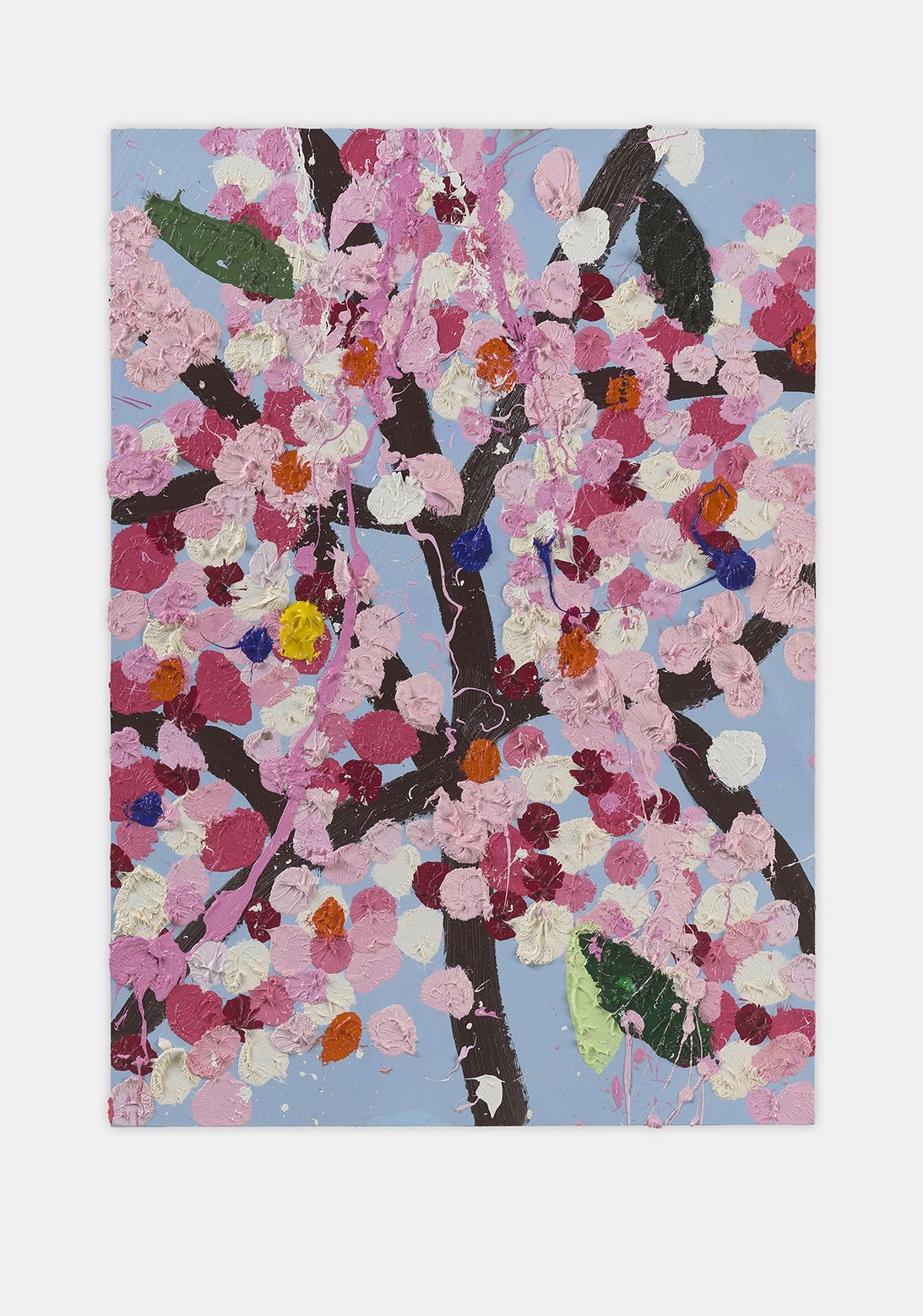 Desirable Blossom 1 main image