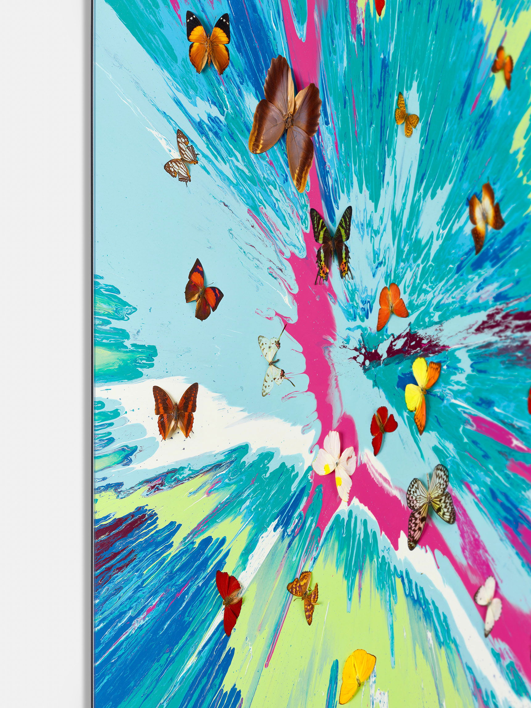 Gentle Zephyr image #4