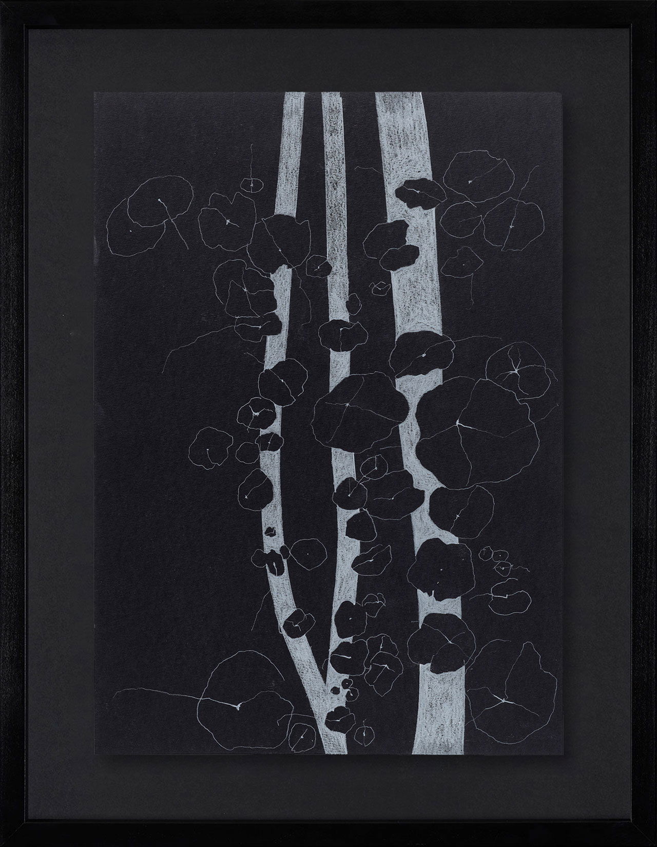 Peel Cottage Garden  1 main image