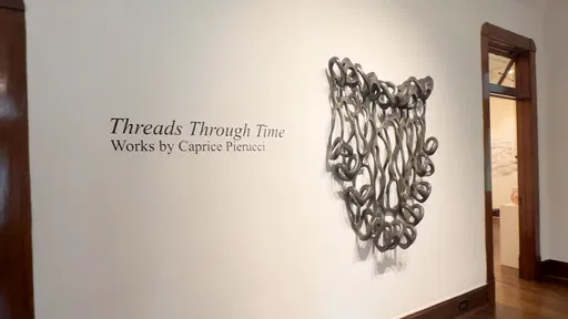 Five-Minute Tours: Caprice Pierucci at Beeville Museum of Art